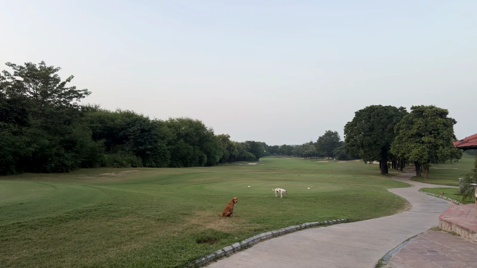 Jack Nicklaus golf course fairway at ITC Grand Bharat with Aravalli greenery